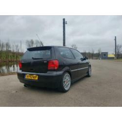Polo 6n2 gti