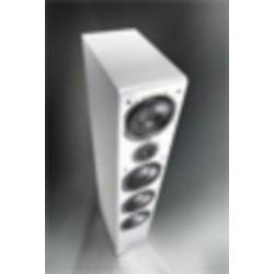 magnat shadow 209