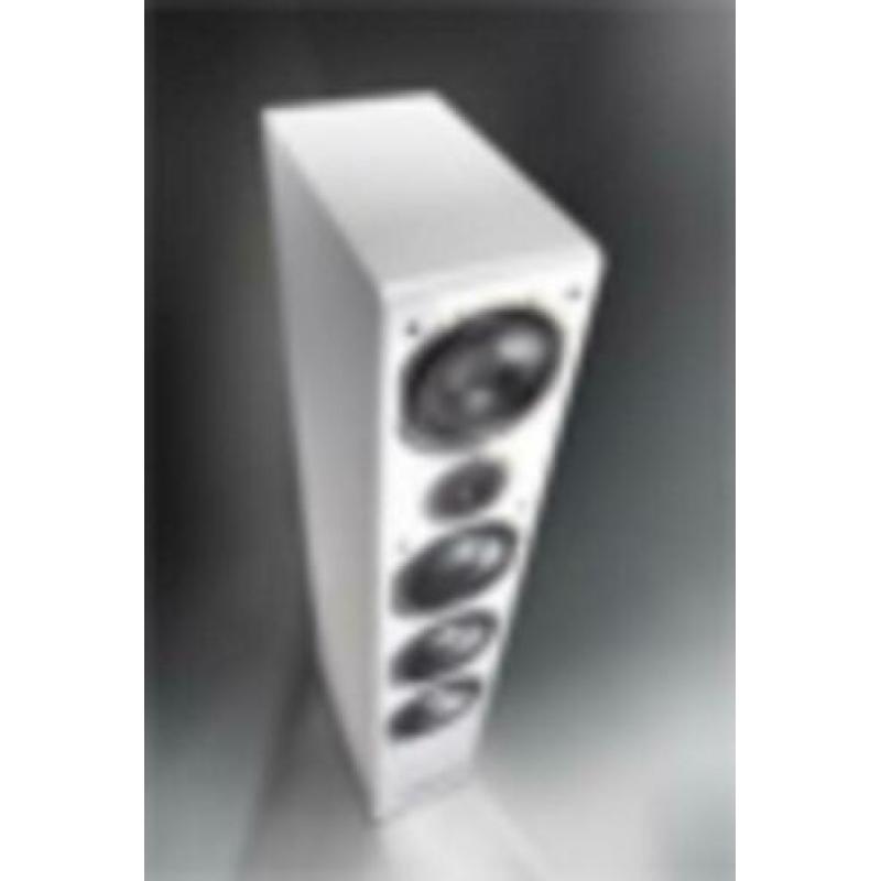 magnat shadow 209