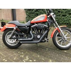 Bad-ass Sportster met 1200 Buell blok!