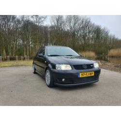 Polo 6n2 gti