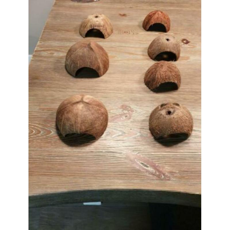 Halve kokosnote