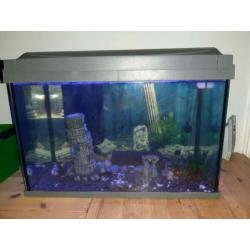 Aquarium met inhoud b57 x h40 x d30