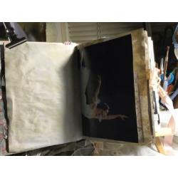 Deze junk journaal gaat over the beauty of ballet