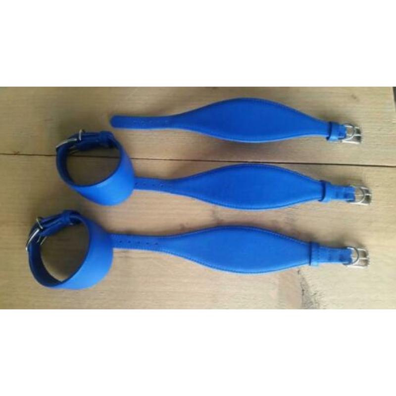 3x halsband voor italiaanse windhond Italiaantje kleine hond