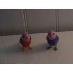 te koop 4 x zangvogels nieuw!!