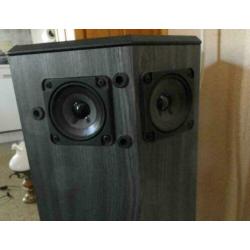 Bose 501 v-serie direct-reflecting speakers