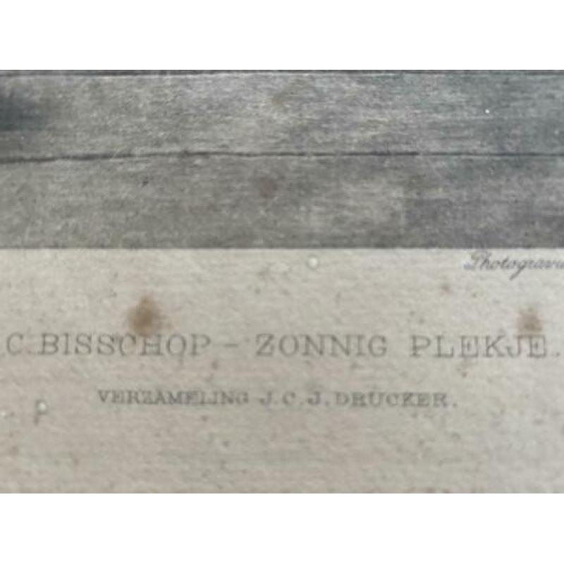 Antieke Prent 1907 C. Bisschop Zonnig Plekje AFM vel 46x36cm