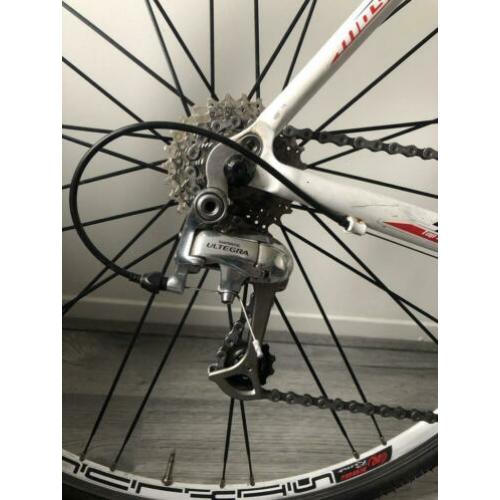 Moser Speed 56” Ultegra