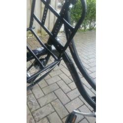 Dames Fiets, Sparta Granny