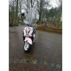 Sym Mio 2012 snor