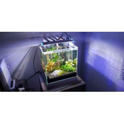 Aquarium led verlichting