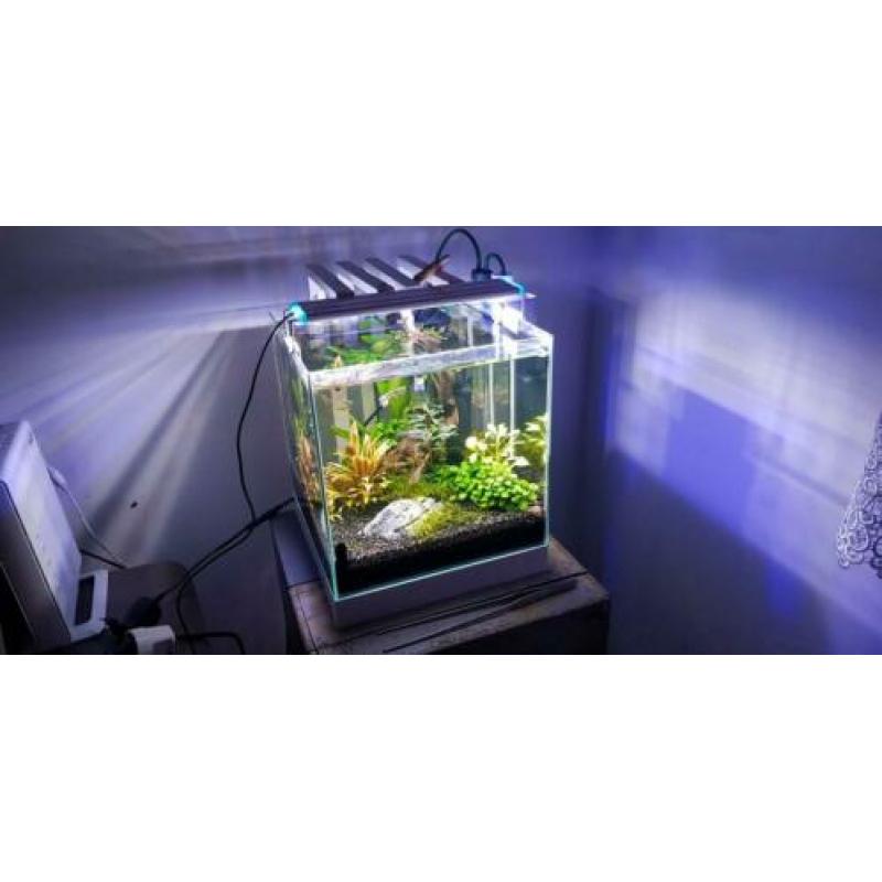 Aquarium led verlichting