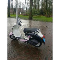Sym Mio 2012 snor