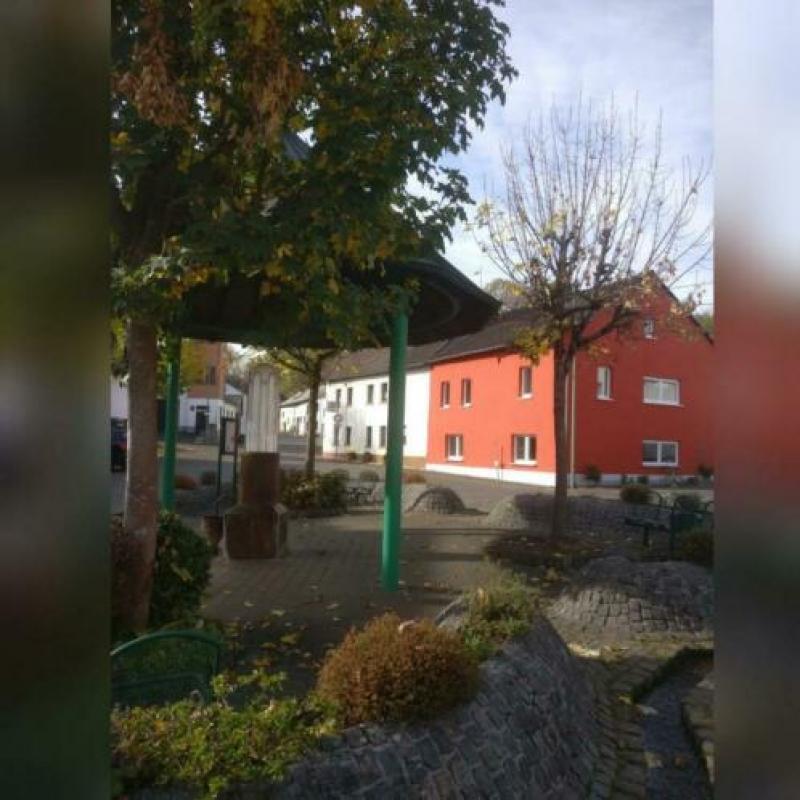 Te huur in daun Steinborn