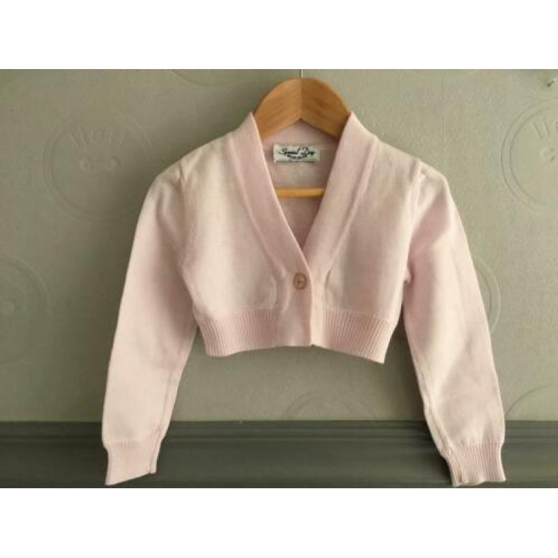 - Special Day - vest maat 4 / 104 roze (Molly Bracken jurk)