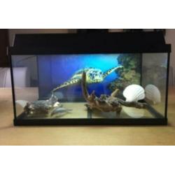 Juwel aquarium 60 ltr