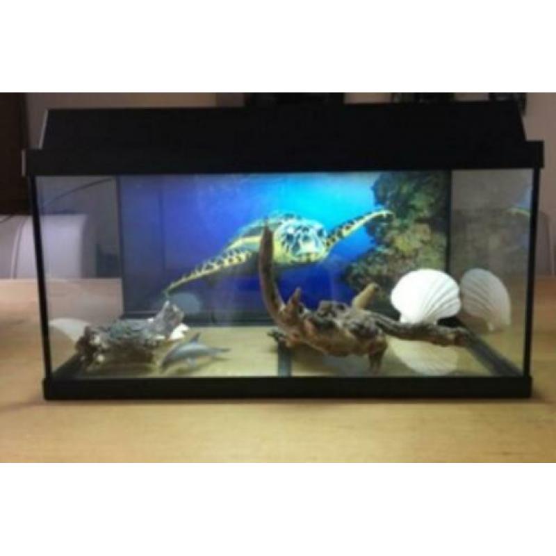 Juwel aquarium 60 ltr