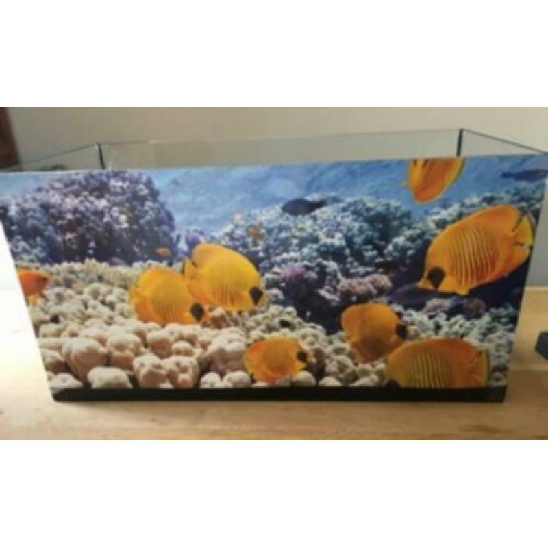 Juwel aquarium 60 ltr