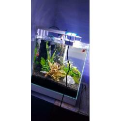 Aquarium led verlichting