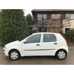 Fiat Punto 1.2 NIEUWE APK 02-2021/RIJDT GOED/5DEURS!