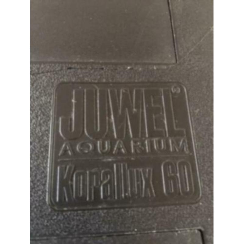 Juwel aquarium 60 ltr