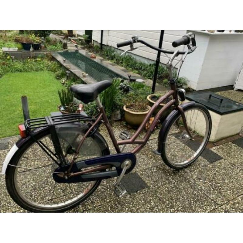 Sparta Amazone moederfiets mamafiets