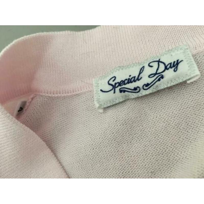 - Special Day - vest maat 4 / 104 roze (Molly Bracken jurk)