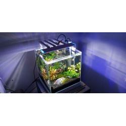 Aquarium led verlichting