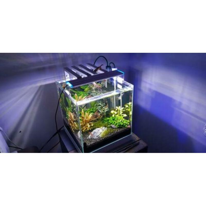 Aquarium led verlichting