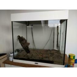 Juwel Lido 120 met externe filter.