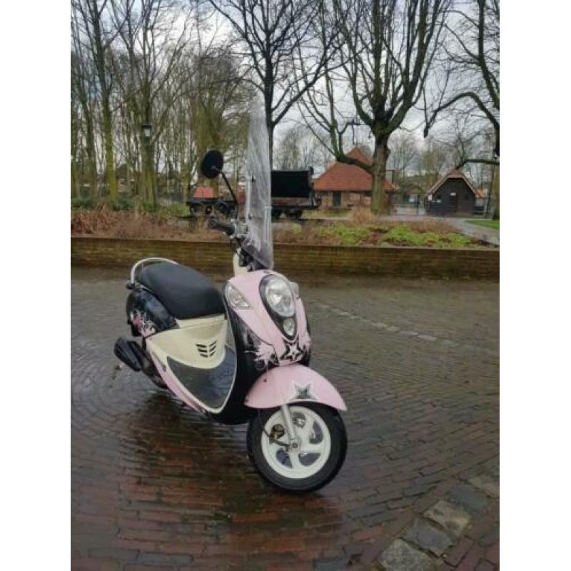 Sym Mio 2012 snor