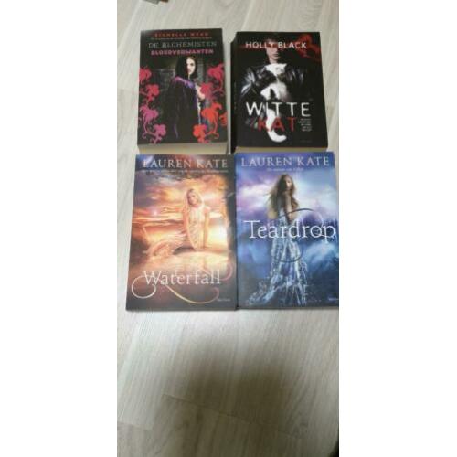4 YA Fantasie boeken Lauren Kate Teardrop Richelle Mead