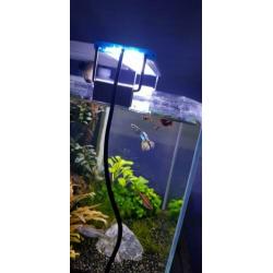 Aquarium led verlichting