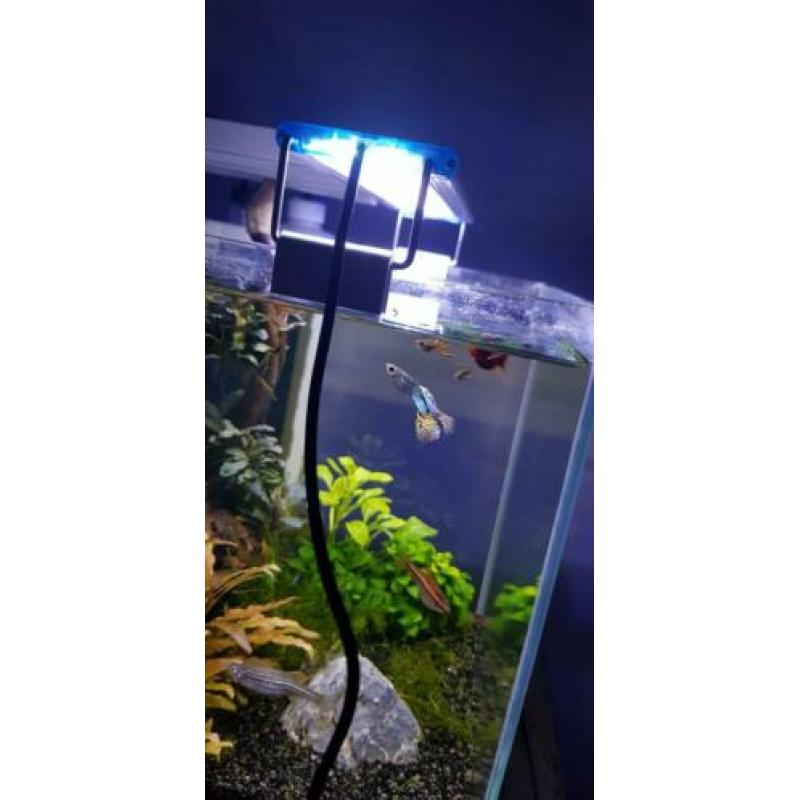 Aquarium led verlichting