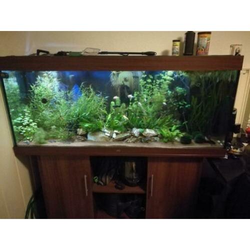 Juwel rio 450 2 jaar oud met 4x tl-lampen high light