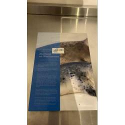 Texel, ecomare, zeehond en Waddenzee, boek