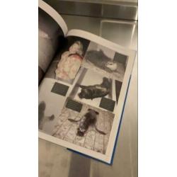 Texel, ecomare, zeehond en Waddenzee, boek