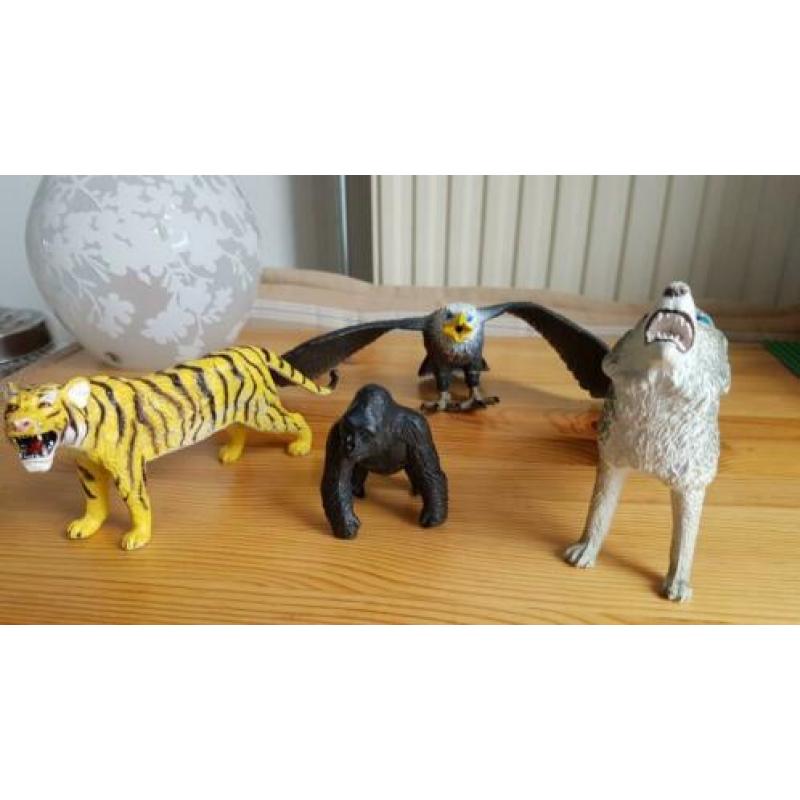 4 grote dieren, leeuwin, orang oetang, roofvogel, wilde hond