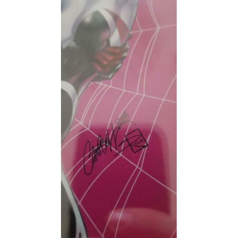 Amazing Spider-man 2e signed by J. Scott Campbell