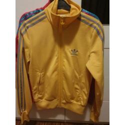 Kleding dames