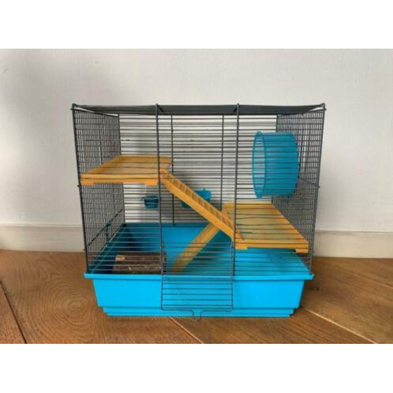 hamsterkooi montagna