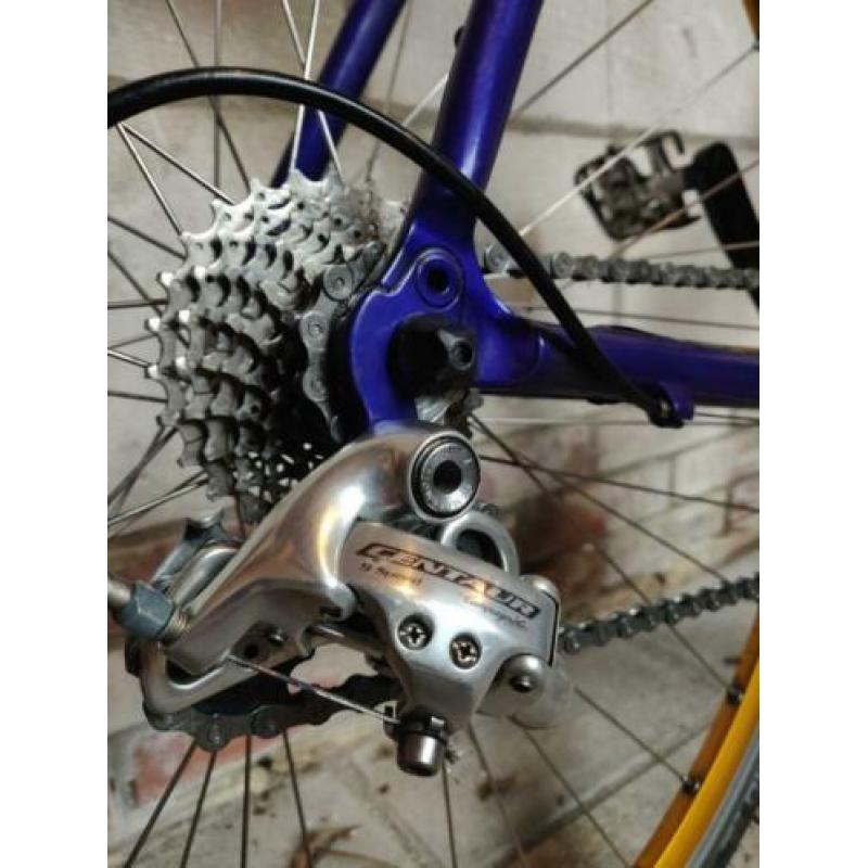 Empella racefiets Campagnolo 53,5 cm (dames)
