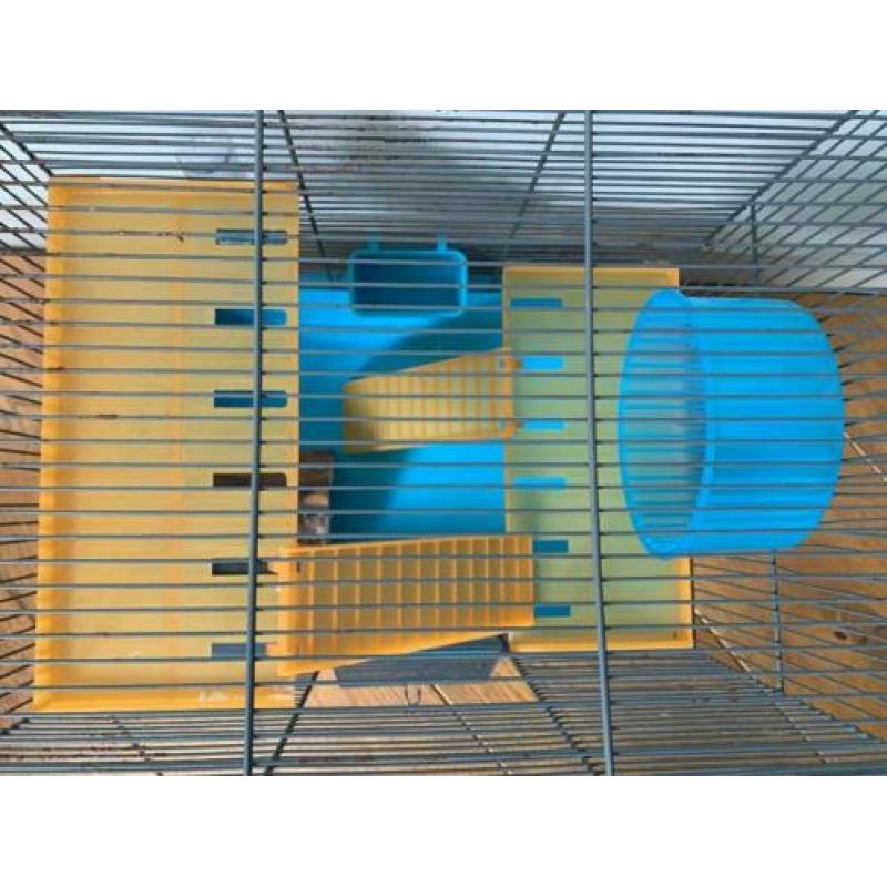 hamsterkooi montagna