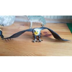 4 grote dieren, leeuwin, orang oetang, roofvogel, wilde hond