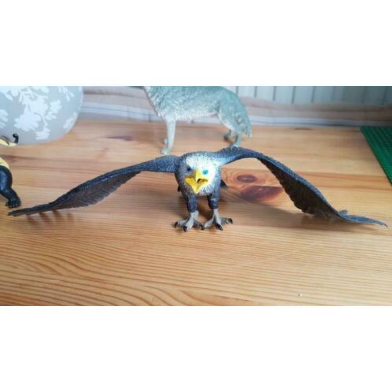 4 grote dieren, leeuwin, orang oetang, roofvogel, wilde hond