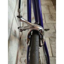Empella racefiets Campagnolo 53,5 cm (dames)