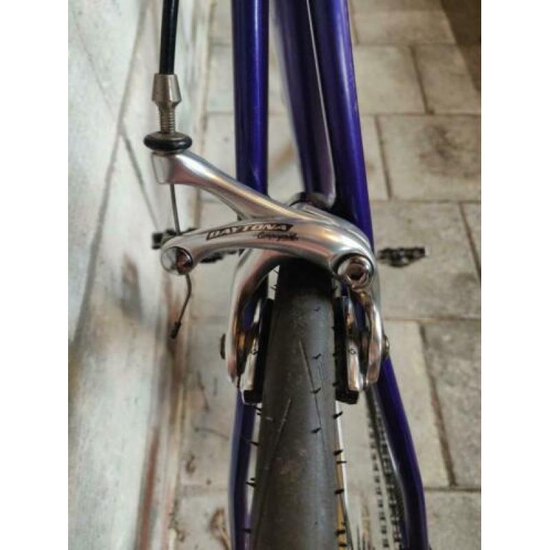 Empella racefiets Campagnolo 53,5 cm (dames)