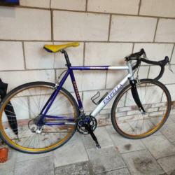 Empella racefiets Campagnolo 53,5 cm (dames)