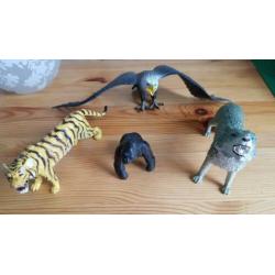 4 grote dieren, leeuwin, orang oetang, roofvogel, wilde hond